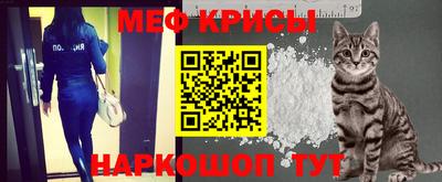 гашик Славгород