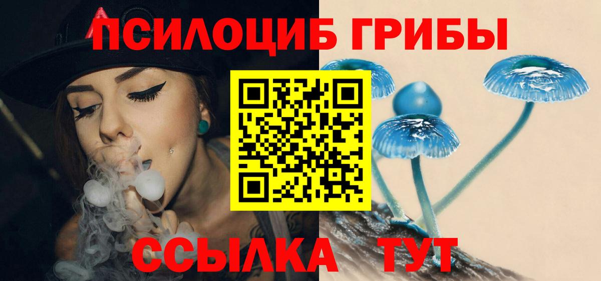 Новочебоксарск  Псилоцибиновые грибы GOLDEN TEACHER  Вход с VPN 