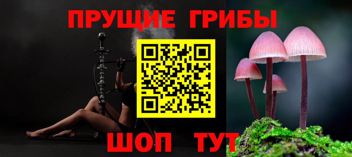 Псилоцибиновые грибы мухоморы Новочебоксарск
